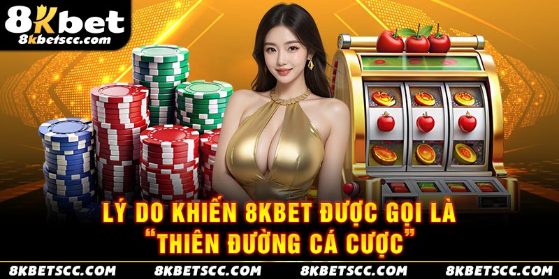 Lý do khiến 8KBET được gọi là “Thiên đường cá cược”