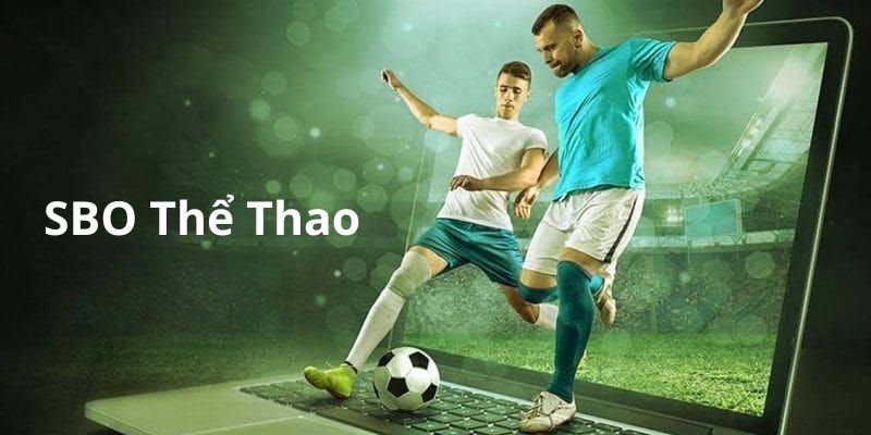 Giới thiệu chung về sảnh SBO